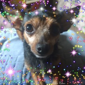 Meet your Posher, Rachel